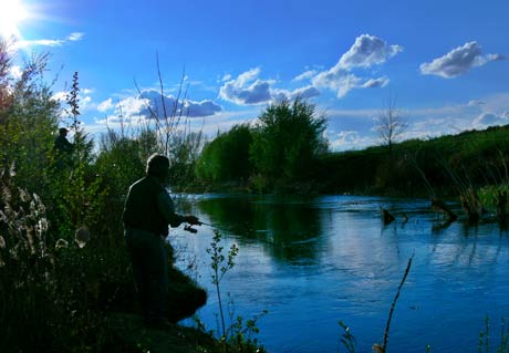 fotografÃa digital :: pescando en la Retuerta