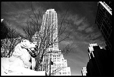 fotografia digital: new york