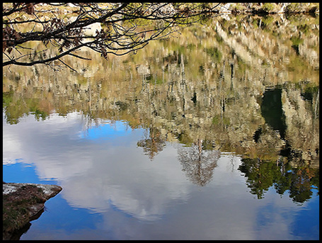 Fotografía digital :: Reflejo natural