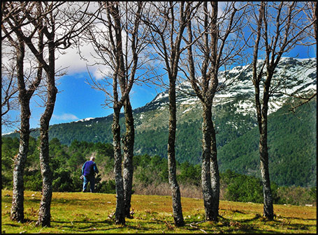 fotografía digital: Paseo hacia las montañas
