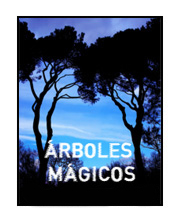 sobre mi :: Javier Vallas :: Árboles Mágicos