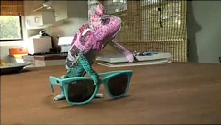 Publicidad creativa: Super Chamaleon