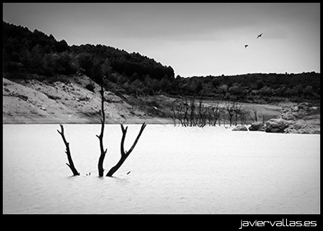 Breves: Fotografía digital: Auxilio me hundo